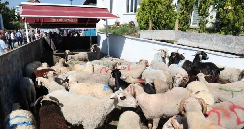 Odunpazarı Belediyesi tarafından vatandaşların Kurban Bayramı’nı rahat, huzurlu geçirebilmesi ve