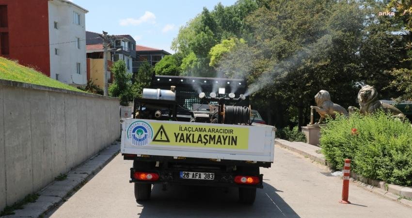 Odunpazarı Belediyesi, yıl boyunca sürdürdüğü ilaçlama çalışmalarına hız verdi. Bu