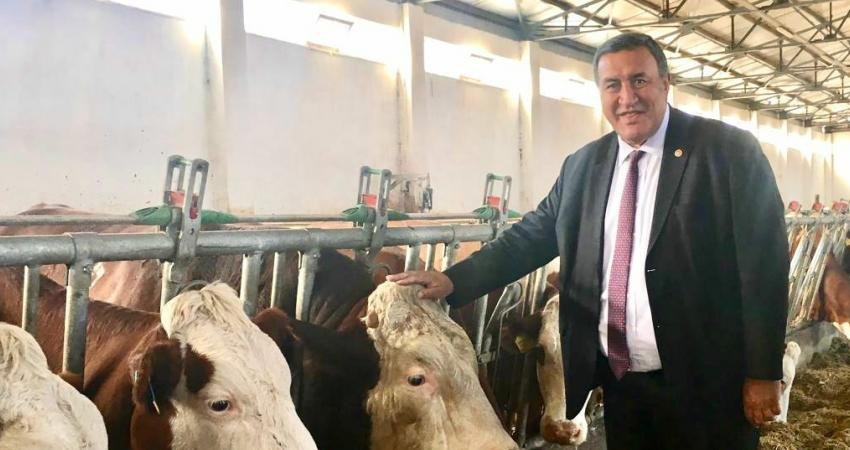 Ömer Fethi Gürer: “Yem Fiyatındaki Artış Durmadıkça Süt Fiyatı Artar” CHP Niğde Milletvekili Ömer Fethi Gürer, besiciliğin en önemli giderlerinden
