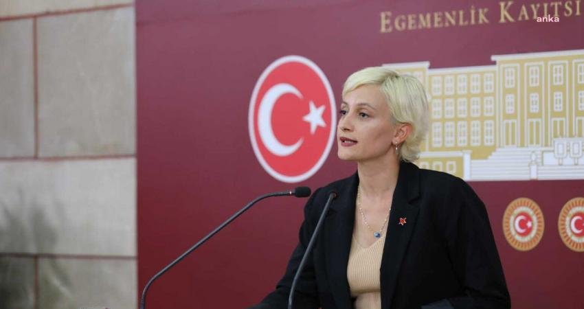 Yeşiller ve Sol Gelecek (YSP) Partisi Mersin Milletvekili Perihan Koca,