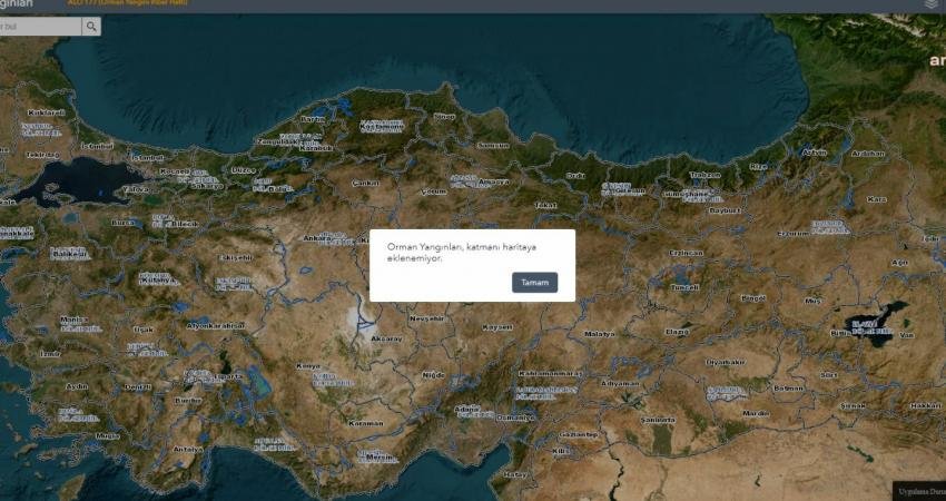 CHP Genel Başkan Yardımcısı Semra Dinçer, Orman Genel Müdürlüğü internet