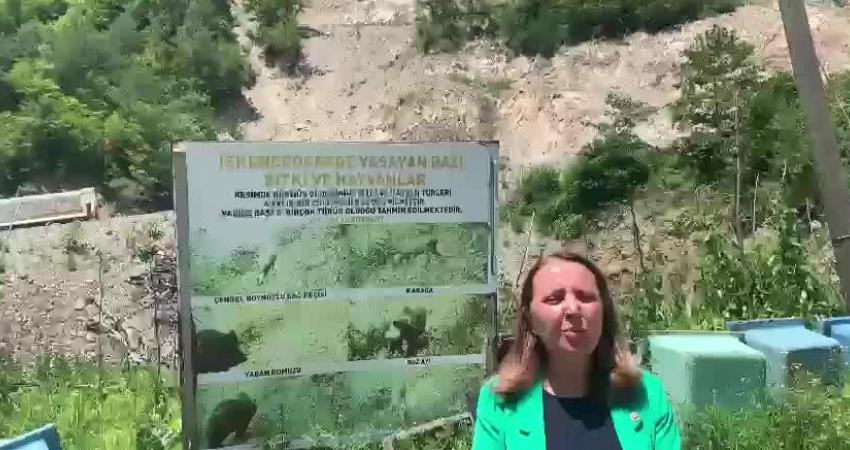 CHP Doğa Haklarından Sorumlu Genel Başkan Yardımcısı Semra Dinçer, taş