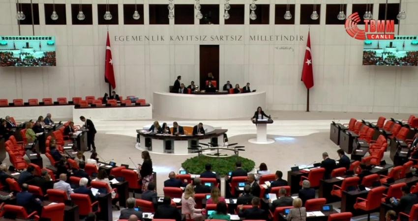 TİP İstanbul Milletvekili Sera Kadıgil, TBMM Genel Kurulu'nda; “28’inci yasama