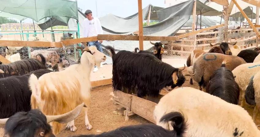 Seyhan Belediyesi, Kurban Bayramı’nda vatandaşlara 11 farklı noktada, 5 bin