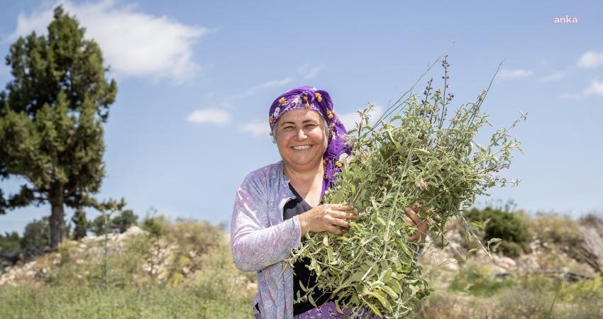 Silifkeli Üreticiler, Mersin Büyükşehir’le Hasat Sevinci Yaşadı Çaltıbozkır Üretim ve Pazarlama Kooperatifi üyeleri, Mersin Büyükşehir’in dağıttığı ve