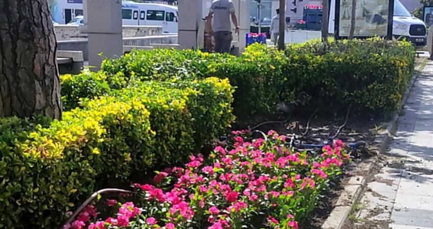 Söke Belediyesi Park ve Bahçeler Müdürlüğü ekipleri, yeşil alanlarda devam