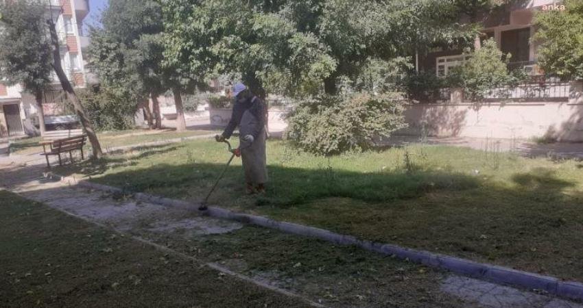 Söke Belediyesi ekipleri, merkezde, yeşil alanlarda ve boş arsalarda eş