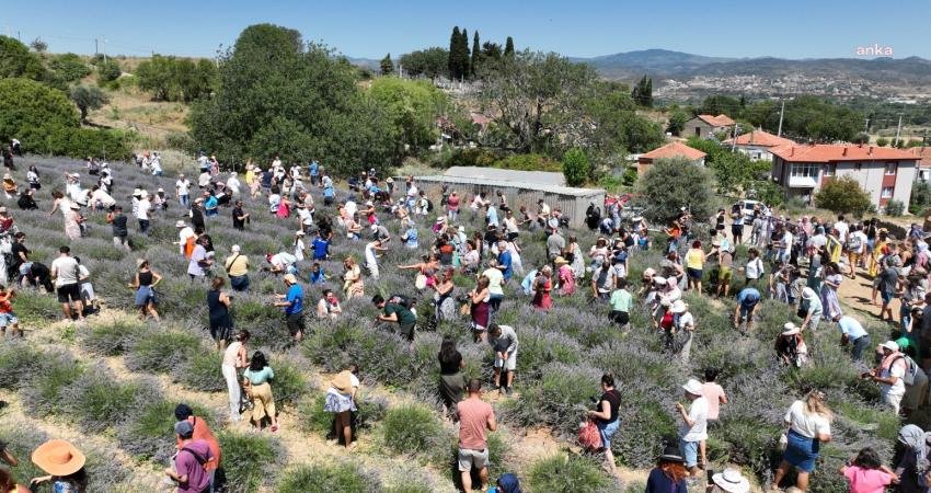İzmir Büyükşehir Belediye Başkanı Tunç Soyer'in Seferihisar Belediye Başkanı olduğu
