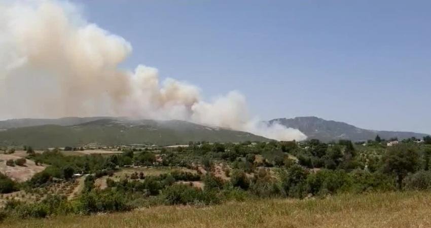 Osmaniye'nin Sumbas ilçesinde orman yangını çıktı. Gafarlı köyü Diniker Mahallesi'nde