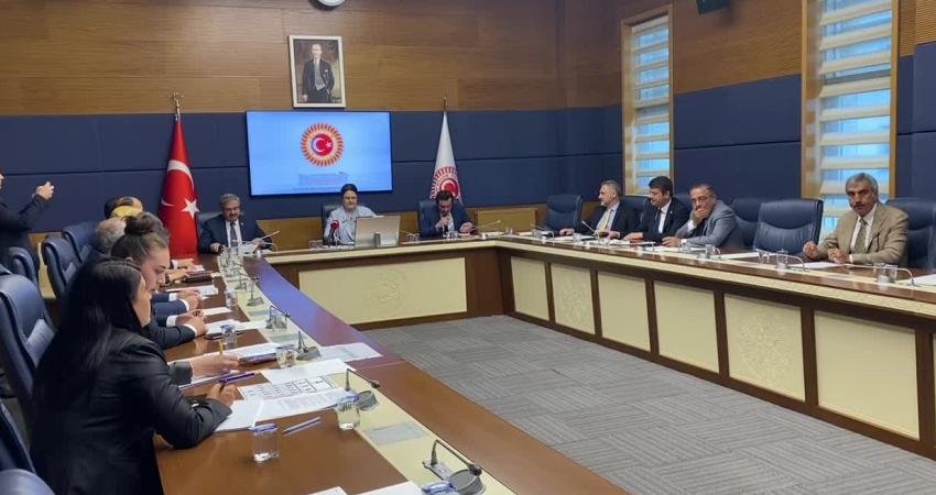 TBMM İnsan Haklarını İnceleme Komisyonu, İslamofobi ve Irkçılık İnceleme Alt