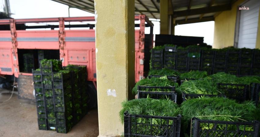 Tepebaşı Belediyesi Sakintepe Soğuk Hava Deposu, BEBKA’dan almaya hak kazandığı