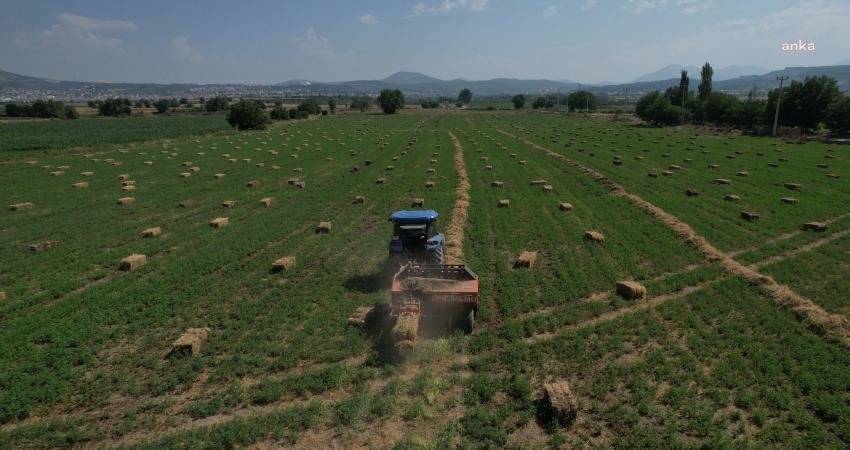 Muğla’da Büyükşehir Belediyesi mülkiyetindeki tarım arazilerini kooperatiflerle iş birliği yaparak