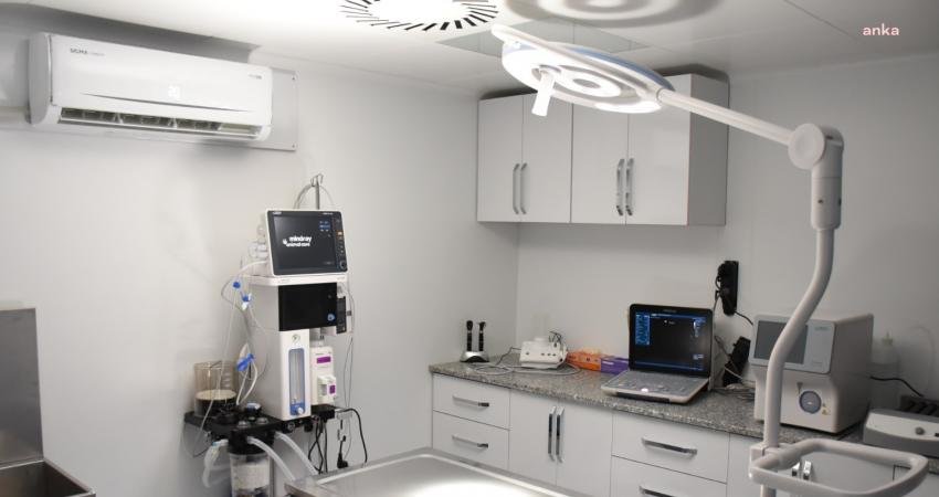 Torbalı Belediyesi Sokak Hayvanları Geçici Bakım Evi ve Rehabilitasyon Merkezi