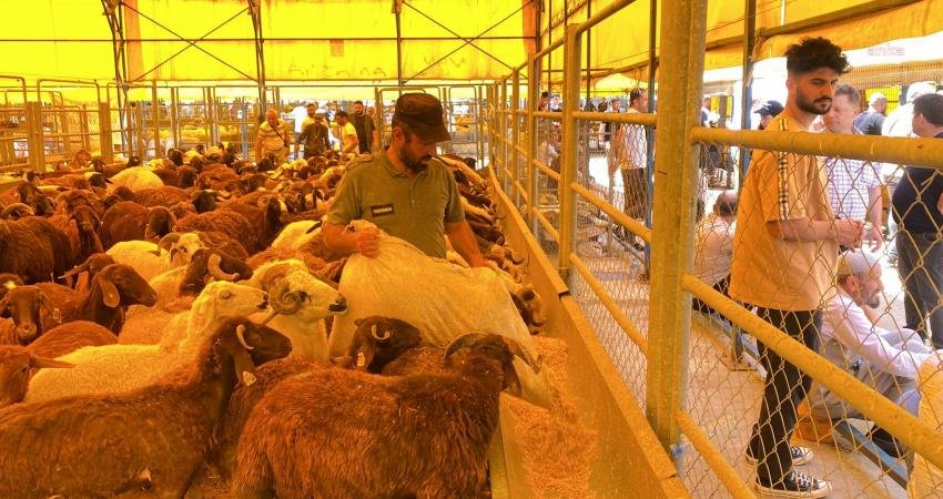 Türkiye İstatistik Kurumu (TÜİK) verilerine göre; devlet destekli tarım sigortalarında