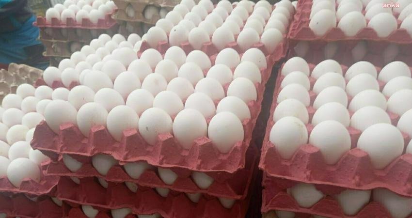 TÜİK: Yumurta Üretimi Mayısta Düştü Türkiye İstatistik Kurumu (TÜİK) verilerine göre, yumurta üretimi mayıs ayında