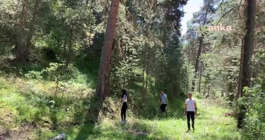 Yozgat’ın Akdağmadeni ilçesinde, mayıs ve haziran aylarında doğada yetişen salep