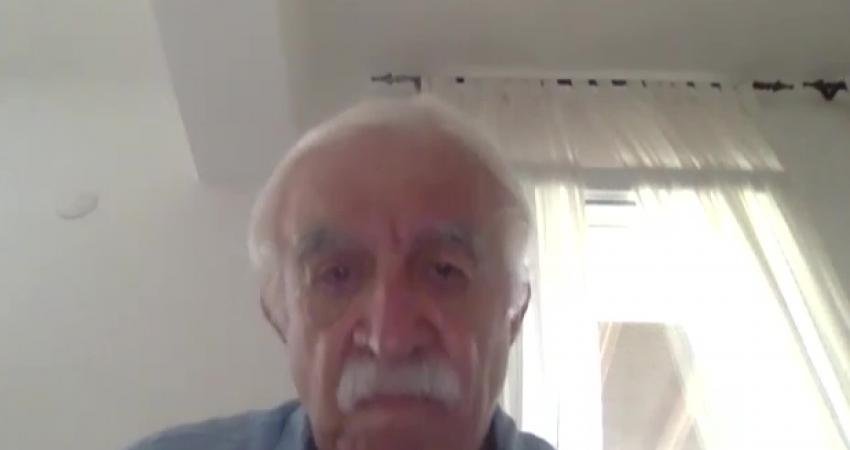 Yeşil Sol Parti Diyarbakır Milletvekili ve TBMM Avrupa Birliği Uyum