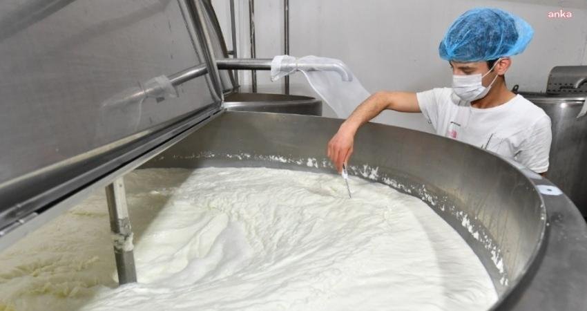 Ulusal Süt Konseyi, Çiğ Süt Taban Fiyatını Açıkladı: 11 Lira 50 Kuruş Ulusal Süt Konseyi çiğ süt taban fiyatını 11 lira 50 kuruş