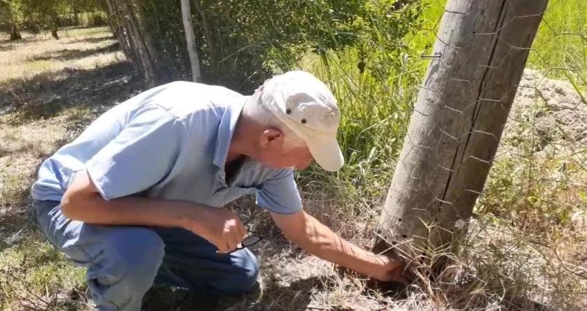 Osmaniye'nin Kadirli ilçesinde yaşayan Veysel Tüysüz, yan yatan elektrik direğinin