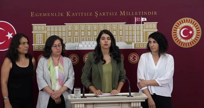 Yeşil Sol Parti'nin kadın milletvekilleri, TBMM'de; erken yaşta evlilik, çocuklara