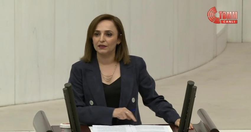 Yeşiller ve Sol Gelecek Partisi’nin Şırnak ve ilçelerinde yaşanan su