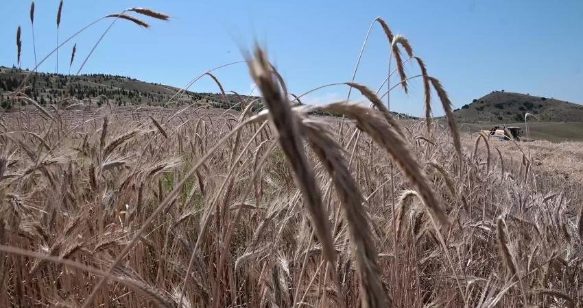 Türkiye’nin önemli tarım bölgelerinden Yozgat’ta kurak geçen kış döneminin ardından