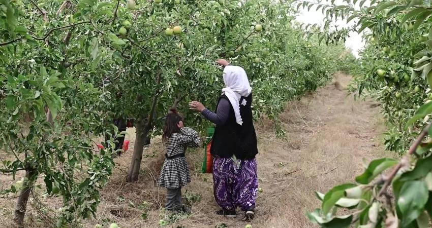 Yozgat'ın Kadışehri ilçesine bağlı Kabalı köylülerinin bir araya gelip 10