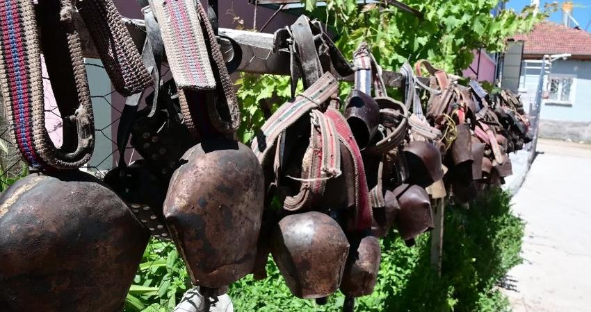 Yozgat’ın Sarıkaya ilçesinde dede mesleği koyun yetiştiriciliğini 50 yıldır sürdüren