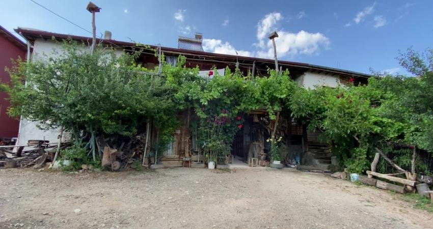 Yozgat’ın Aydıncık ilçesine bağlı Kösrelik köyünde yaşayan Devlet Sanatçısı Raşit