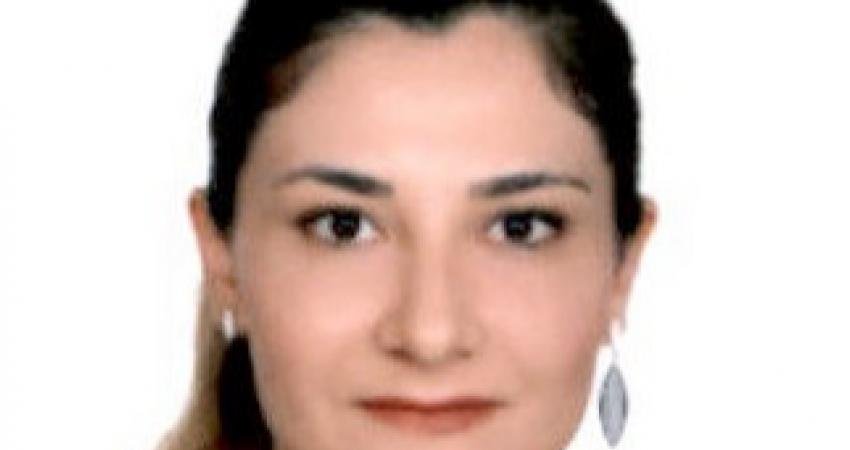 Yeşil Sol Parti (YSP) Ağrı Milletvekili Nejla Demir, her köye