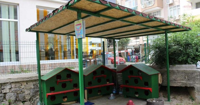 Karşıyaka Belediyesi, hayvanseverlerin talebi üzerine Zübeyde Hanım Parkı’nda yaşayan sokak