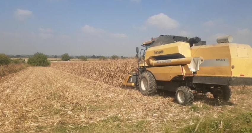 Osmaniye'nin Kadirli ilçesinde mısır üreticileri, mısır taban fiyatının ton başına
