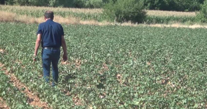 Adıyamanlı çiftçi Şerif Çakallı ile sulama kooperatifi arasında “Borcunu ödedin,
