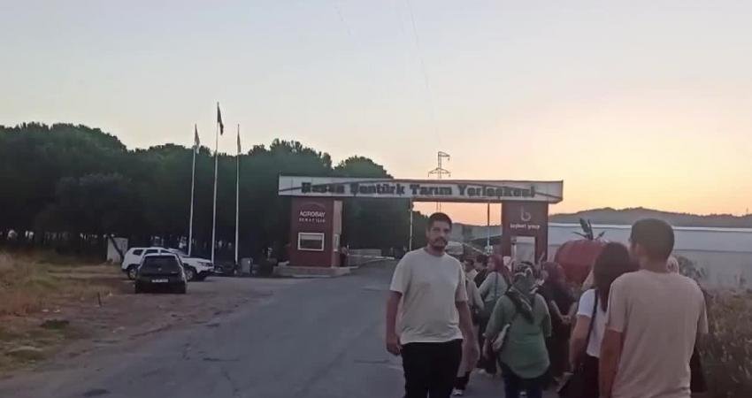 İzmir’in Dikili-Bergama yolundaki Agrobay Seracılık’tan sendikalaştıkları gerekçesiyle işten atıldıklarını ileri