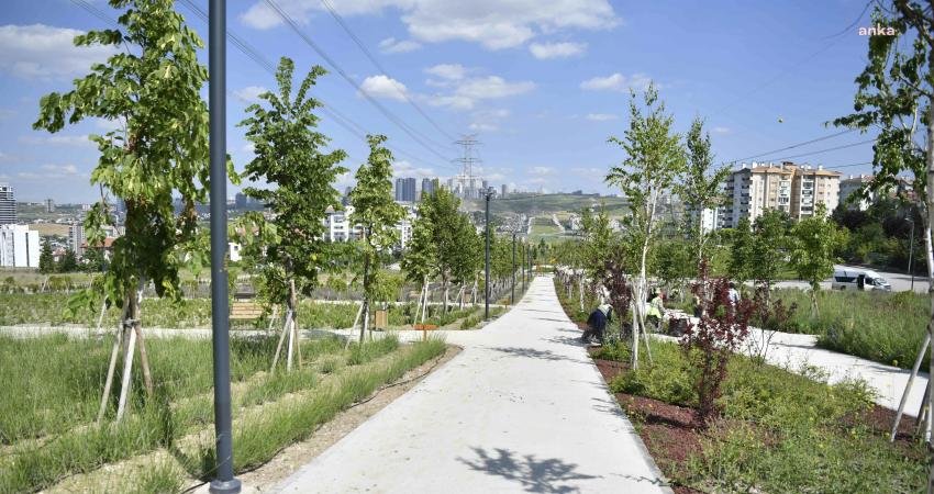 Başkent'e yeşil alanlar kazandırmak için çalışmalarını sürdüren Ankara Büyükşehir Belediyesi,
