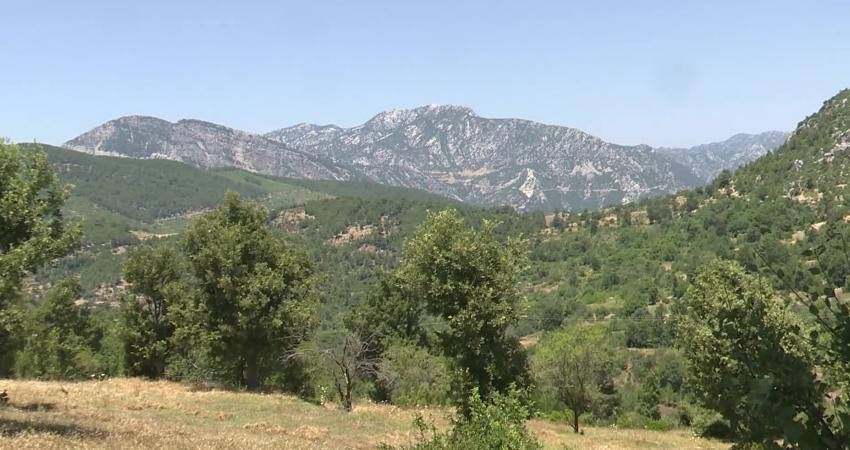 Antalya Büyükşehir Belediyesi’nden Kırsalda Asfalt Seferberliği Antalya Büyükşehir Belediyesi Kırsal Hizmetler Dairesi Başkanlığı ekipleri, Akseki ilçesi