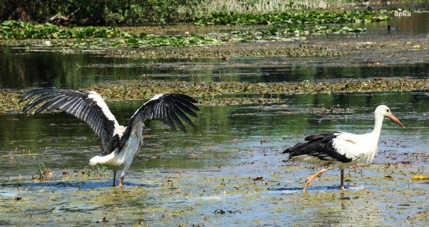 Annelerinin elektrik akımına kapılıp ölmesi üzerine Antalya Büyükşehir Belediyesi Doğal