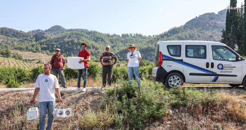 Antalya Büyükşehir Belediyesi, tarımsal faaliyetlerin sürdürülebilirliğini ve çevre dostu tarımı