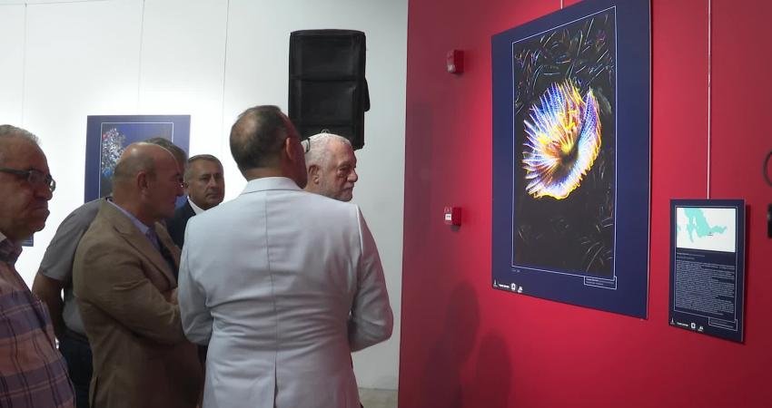 İzmir Büyükşehir Belediyesi’nin başlattığı “Yaşayan Körfez” seferberliği ile her gün