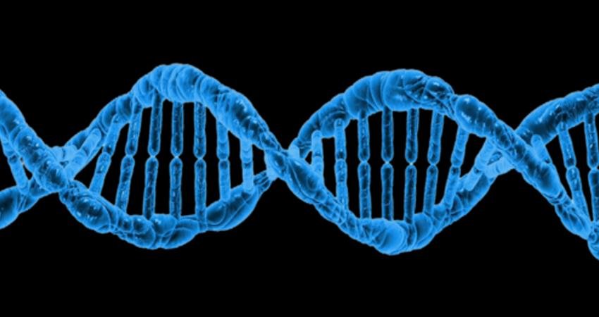 ABD'li bilim insanları, cam ve DNA kullanarak çelikten bile daha