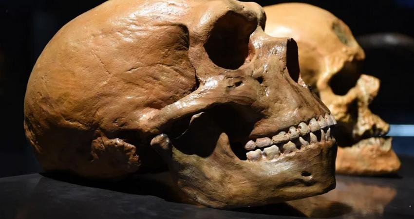 Bilim insanları, daha önce gördüğümüz hiçbir şeye benzemeyen antik bir