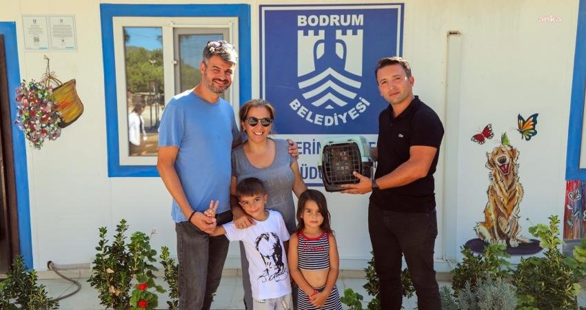 Bodrum’da bir aile tarafından bulunan maymun, Bodrum Belediyesi Torba Geçici