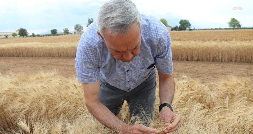 Türkiye’de tahıl üretiminin önemli merkezlerinden Karaman’da buğday hasat sezonu devam