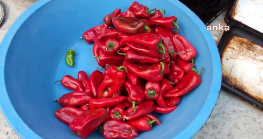 Balıkesir’in Burhaniye ilçesinde, ağustos ayının sonlarına yaklaşılırken, kışlık yiyeceklerde hazırlanmaya