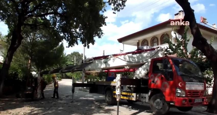 Balıkesir’in Burhaniye ilçesindeki tarihi meşe ağaçları, Çevre Şehircilik ve İklim