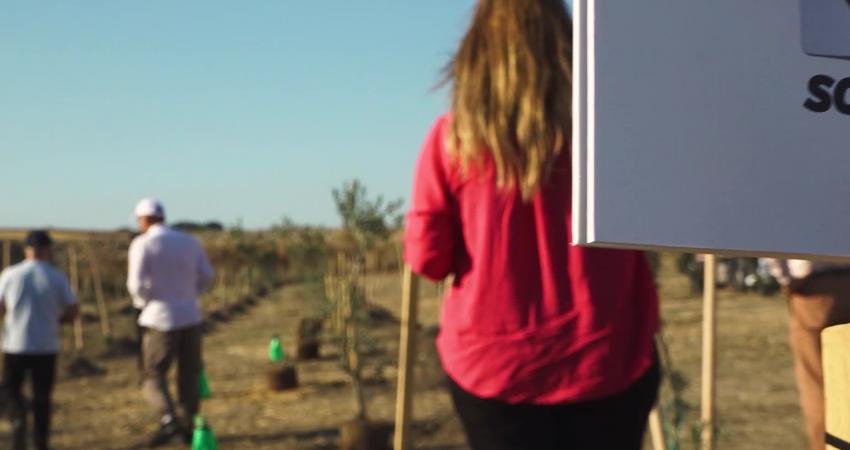 24'üncü Uluslararası İstanbul Büyükçekmece Kültür ve Sanat Festivali’ne 100 ülkeden