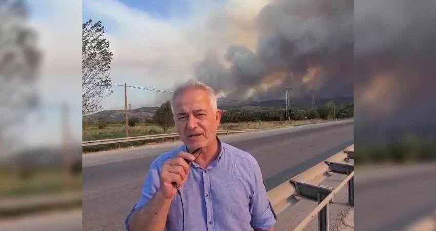 Çanakkale'de merkeze bağlı Kayadere köyü yakınlarında öğle saatlerinde ormanlık alanda