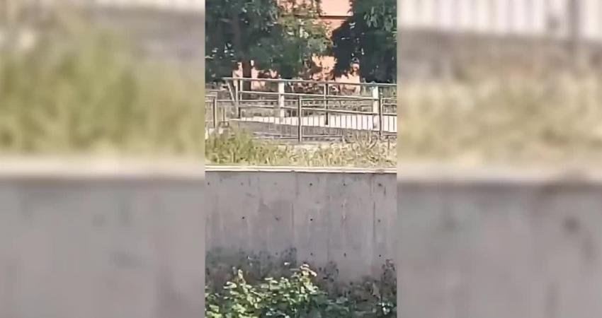 CHP’li Alp: “Bu Nasıl Bir Belediyecilik Anlayışı !!!! Peynir Müzesinin Hemen Yanından Kars Çayına Vidanjör Boşaltıyorlar” CHP Kars Milletvekili İnan Akgün Alp, kayyum tarafından yönetilen Kars