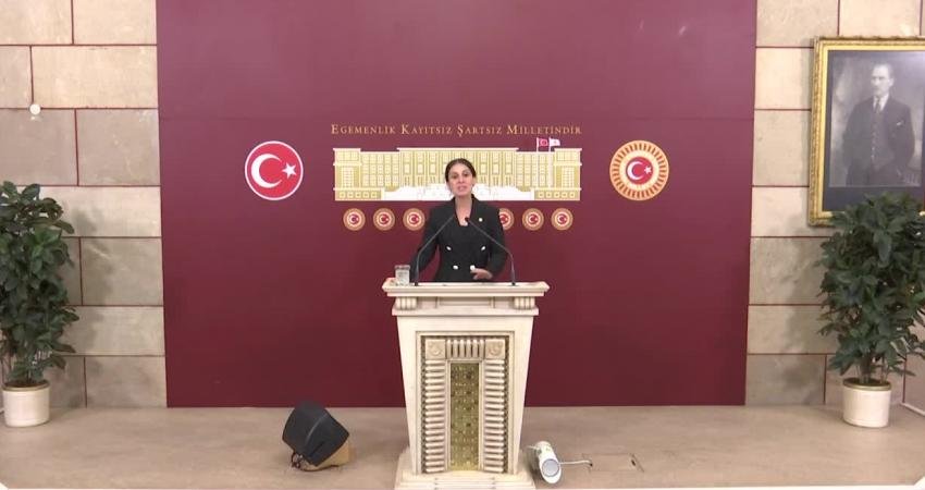 CHP Muğla Milletvekili Gizem Özcan, Muğla’nın Milas İlçesi’ndeki Akbelen Ormanlarındaki ağaç