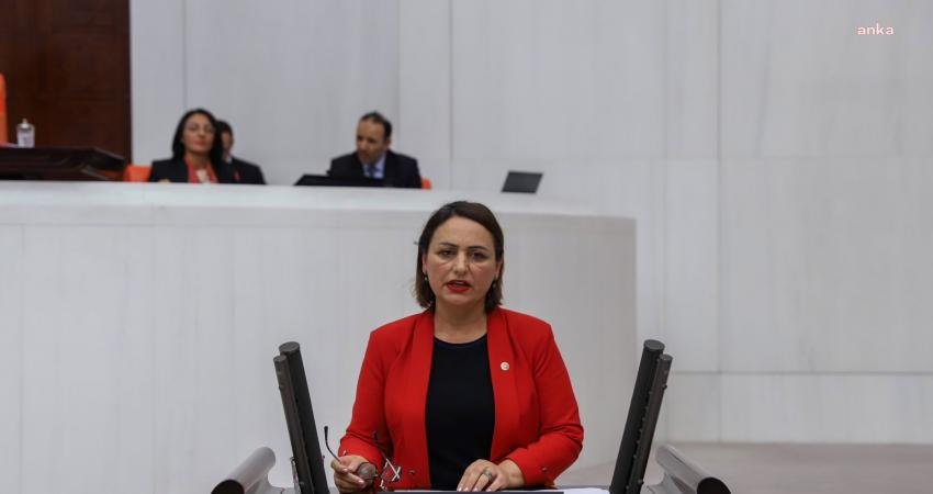 CHP Adana Milletvekili Müzeyyen Şevkin, Hazine ve Maliye Bakanı Mehmet